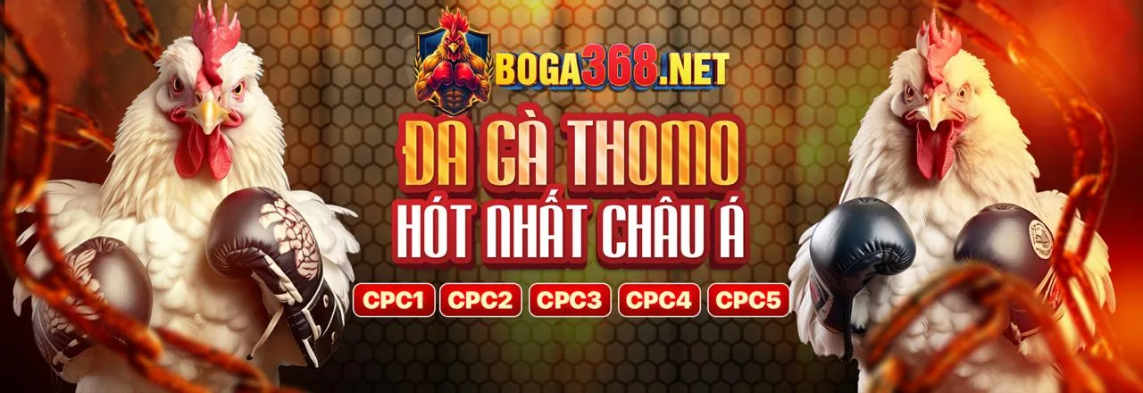 Phân tích các tính năng bảo mật hàng đầu của ứng dụng vz88